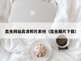 乌海昆虫网站高清照片素材（昆虫图片下载）